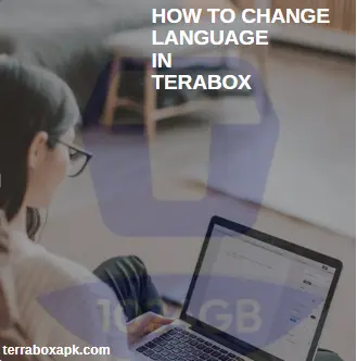 how to change audio language in terabox